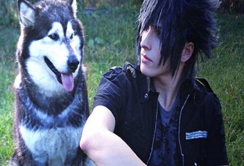 incontro raphael artwork cosplay.